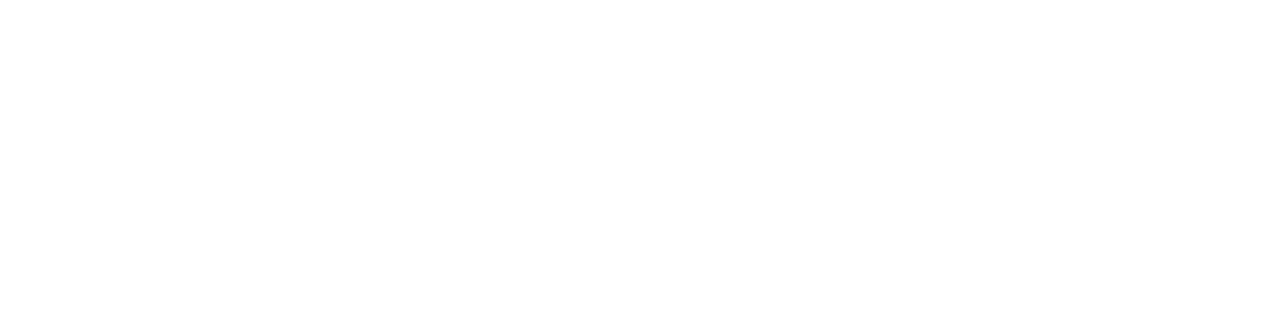 Fire Authority